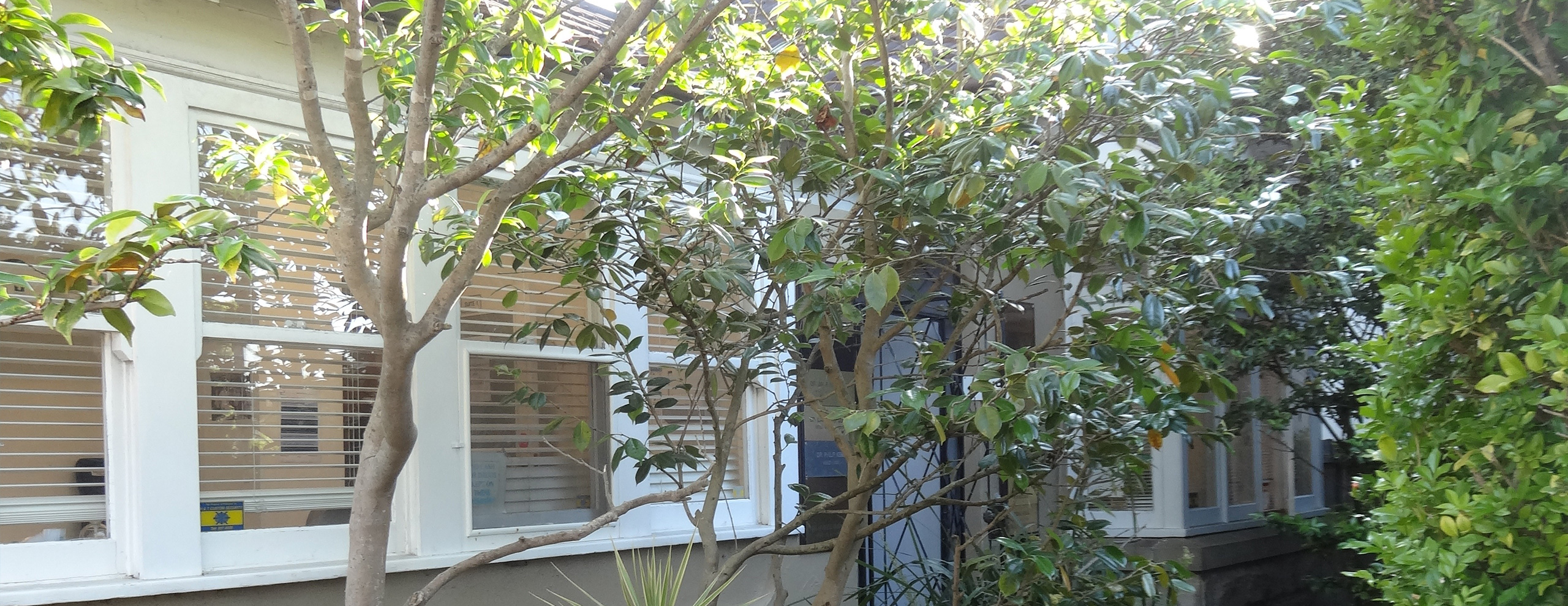 Randwick Medical Family Practice Skin Cancer Travel Medicine Clinic Book An Appointment Online